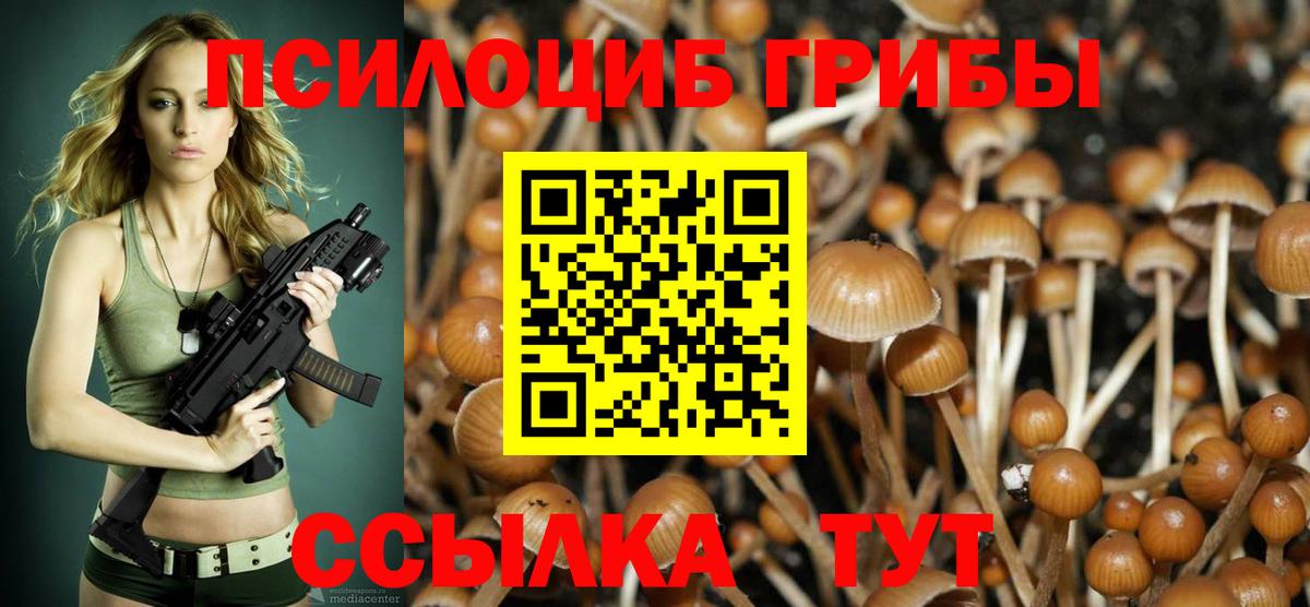 Белогорск  Псилоцибиновые грибы GOLDEN TEACHER  Вход с VPN 